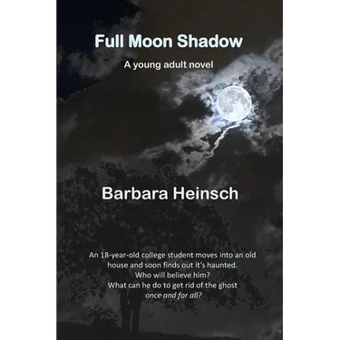 Full Moon Shadow: Young Adult Novel