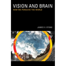 Vision: How We Perceive the World