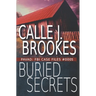 Buried Secrets: PAVAD: FBI Case File #0005