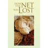 How the Net Was Lost: A Case Study