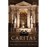 Caritas: Tintoretto and the Scuola Grande Di San Rocco, Venice