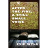 After the Fire, a Still Small Voice