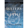 New Found Souls Book One: The Waters of Lethe