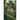 Somewhere In Time