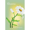 Shasta