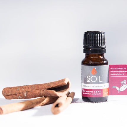 Organic Cinnamon Leaf Essential Oil (Cinnamoumm Zeylanicum) 10ml by SOiL Organic Aromatherapy and Skincare