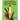 Little Pencil Finds His Forever Friends: A Rhyming Pencil Grip Picture Book