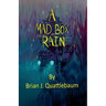 A Mad Box of Rain