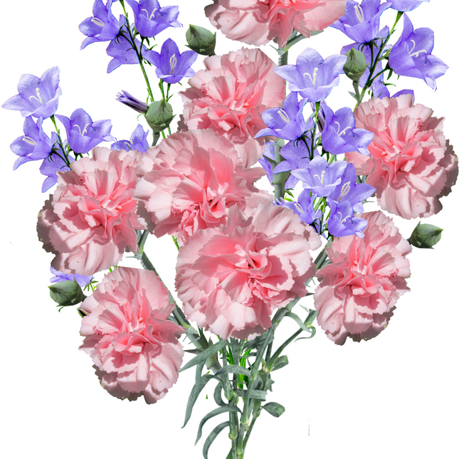 Carnations & Lilacs Fragrance Oil by Front Porch Candles