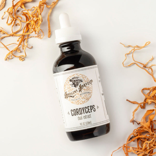 Cordyceps Dual Extract Tincture by Hodgins Harvest