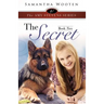 The Amy Stevens Series the Secret Book Two