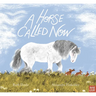 A Horse Called Now