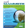 Math Mammoth Kindergarten Worktext A