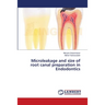 Microleakage and size of root canal preparation in Endodontics