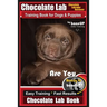 Chocolate Lab Chocolate Labrador Retriever Training Book for Dogs & Puppies By BoneUP DOG Training: Are You Ready to Bone Up? Easy Steps * Fast Result