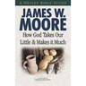 How God Takes Our Little & Makes It Much