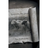 Letters to My Sheep