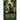 Tarzan And The Tarzan Twins With Jad-bal-ja The Golden Lion