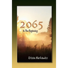 2065 in the Beginning