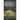 Enigmas Fragments