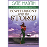 Bewitchment After the Storm: A Viking Witch Cozy Mystery