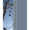 Goal Setting for a Renewed You
