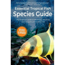Essential Tropical Fish: Species Guide