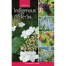 Guide to Indigenous Herbs: of North America