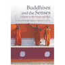 Buddhism and the Senses: A Guide to the Good and Bad