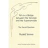 Art as a Bridge between the Sensible and the Supersensible: The Social Question