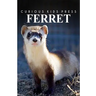 Ferret - Curious Kids Press: Kids book about animals and wildlife, Children's books 4-6