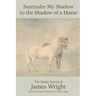 Surrender My Shadow to the Shadow of a Horse
