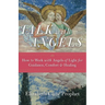 Talk with Angels: How to Work with Angels of Light for Guidance, Comfort and Healing