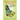 Medicinal Plants of Barbados for the Treatment of Communicable and Non-Communicable Diseases