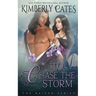 To Chase the Storm