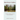 Rainforest Gallery - A collective anthology: poems of love, loss and nature