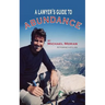 A Lawyer's Guide to Abundance