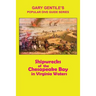 Shipwrecks of the Chesapeake Bay in Virginia Waters