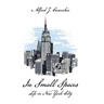 In Small Spaces: Life in New York City