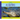 Alligators
