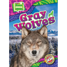 Gray Wolves