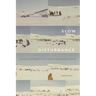 Slow Disturbance: Infrastructural Mediation on the Settler Colonial Resource Frontier
