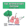 The Respiratory System