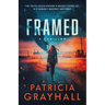 Framed: A Thriller