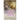 World Starts Anew