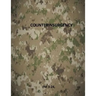 Counterinsurgency: FM 3-24