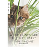 What plants are toxic to cats?: Find out more about your pet