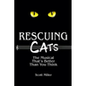 Rescuing CATS: The Musical That's Better Than You Think