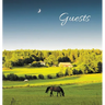 GUEST BOOK for Guest House, Airbnb, Bed & Breakfast, Vacation Home, Retreat Centre: HARDCOVER Visitors Book, Guest Comments Book, Vacation Home Guest