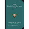 The Boy Scouts On Lost Trail